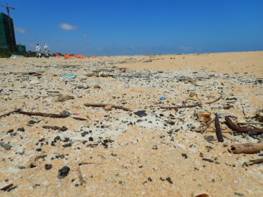 Pollution dans les laisses de mer (plastique et GPI)