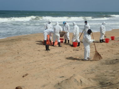Nettoyage manuel du littoral