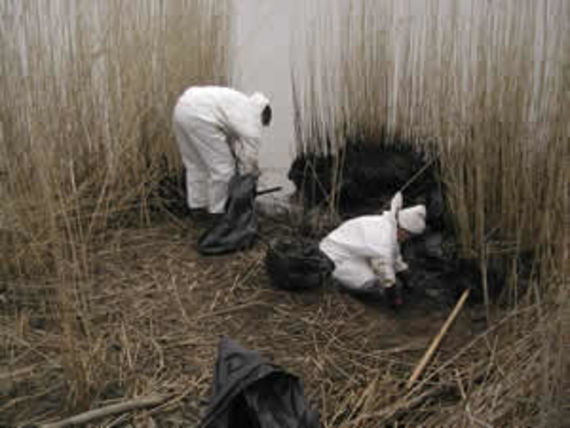 Manual clean-up amongst reeds