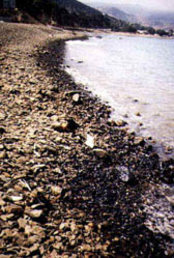 Oil slick reaching shingle beaches (Source: Cedre)