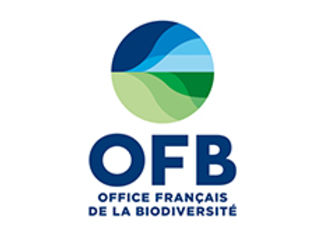 OFB
